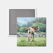 馬 マグネット (正面/裏面)