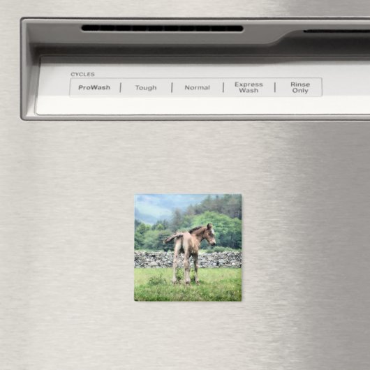 馬 マグネット (インサイチュ (食洗機))