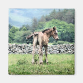 馬 マグネット (正面)