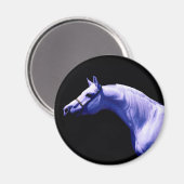 馬 マグネット (正面/裏面)