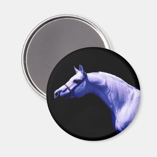 馬 マグネット (正面/裏面)