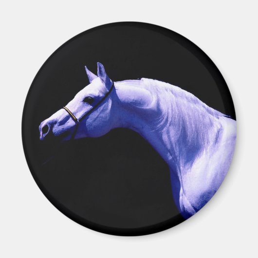 馬 マグネット (正面)