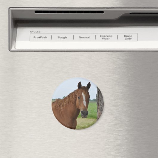 馬 マグネット (インサイチュ (食洗機))