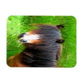 馬 マグネット (横)