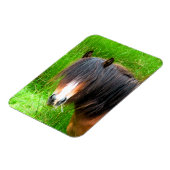 馬 マグネット (左側)