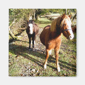 馬 マグネット (正面)