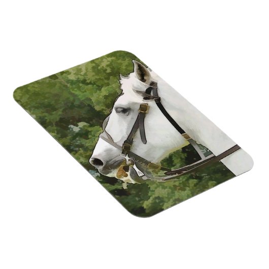 馬 マグネット (右側)