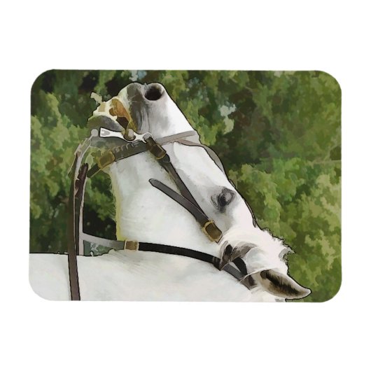 馬 マグネット (横)