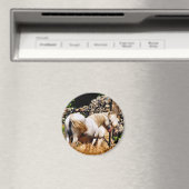 馬 マグネット (インサイチュ (食洗機))