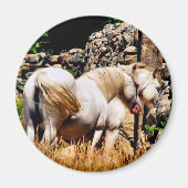 馬 マグネット (正面)