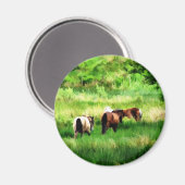 馬 マグネット (正面/裏面)