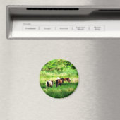 馬 マグネット (インサイチュ (食洗機))