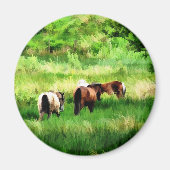 馬 マグネット (正面)