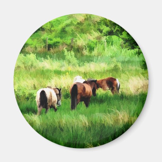 馬 マグネット (正面)