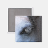 馬 マグネット (正面/裏面)