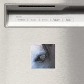 馬 マグネット (インサイチュ (食洗機))