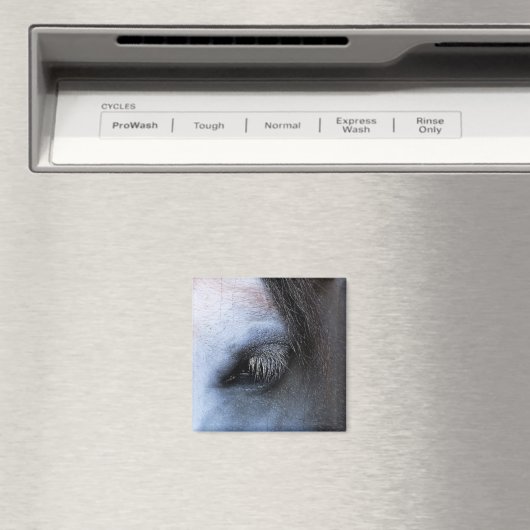 馬 マグネット (インサイチュ (食洗機))