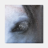 馬 マグネット (正面)