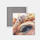 馬 マグネット (正面/裏面)