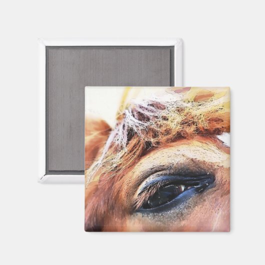 馬 マグネット (正面/裏面)