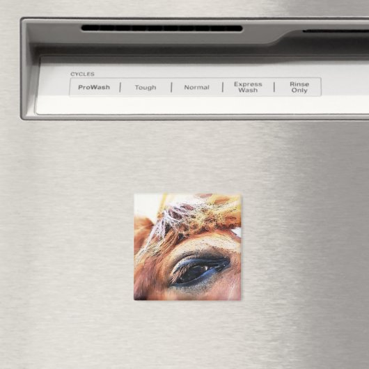 馬 マグネット (インサイチュ (食洗機))