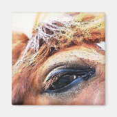 馬 マグネット (正面)