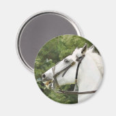 馬 マグネット (正面/裏面)