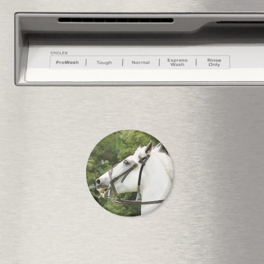 馬 マグネット (インサイチュ (食洗機))