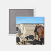 馬 マグネット (正面/裏面)