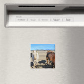 馬 マグネット (インサイチュ (食洗機))