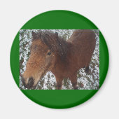 馬 マグネット (正面)