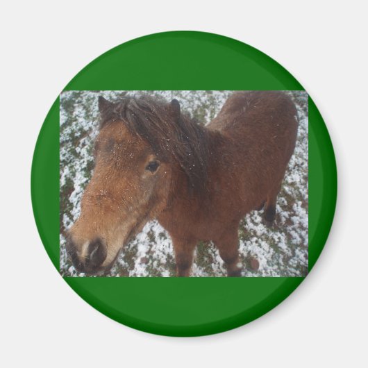 馬 マグネット (正面)