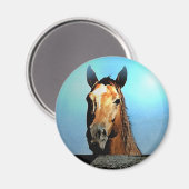 馬 マグネット (正面/裏面)