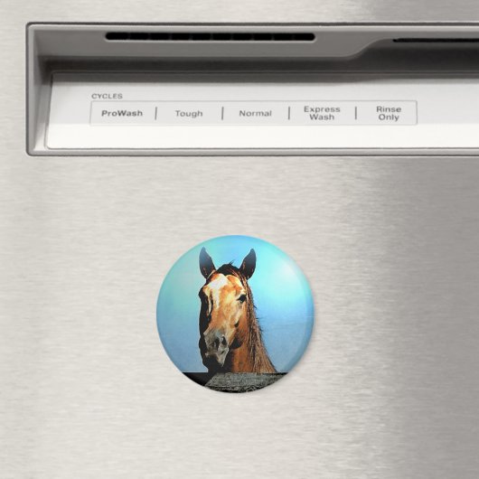 馬 マグネット (インサイチュ (食洗機))