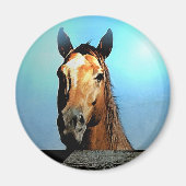 馬 マグネット (正面)