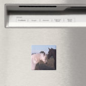 馬 マグネット (インサイチュ (食洗機))