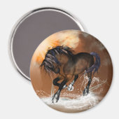 馬 マグネット (正面/裏面)