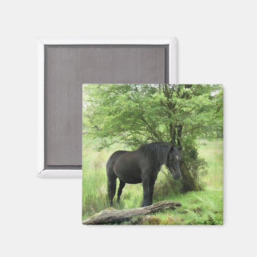 馬 マグネット (正面/裏面)