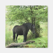 馬 マグネット (正面)