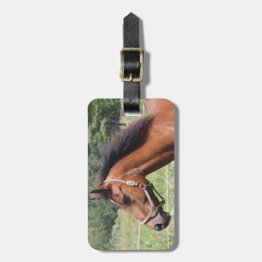 馬 ラゲッジタグ (正面縦)