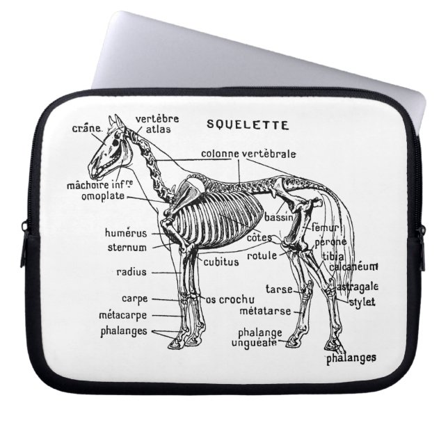 馬 ラップトップスリーブ (正面)