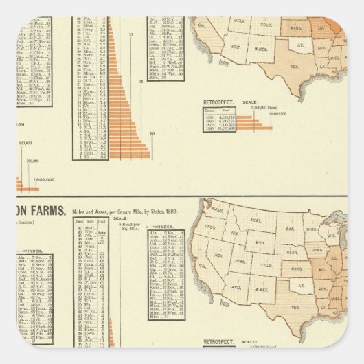 馬、ラバ、ロバ、羊 スクエアシール (正面)