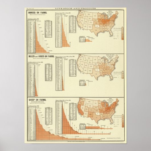 馬、ラバ、ロバ、羊 ポスター (正面)