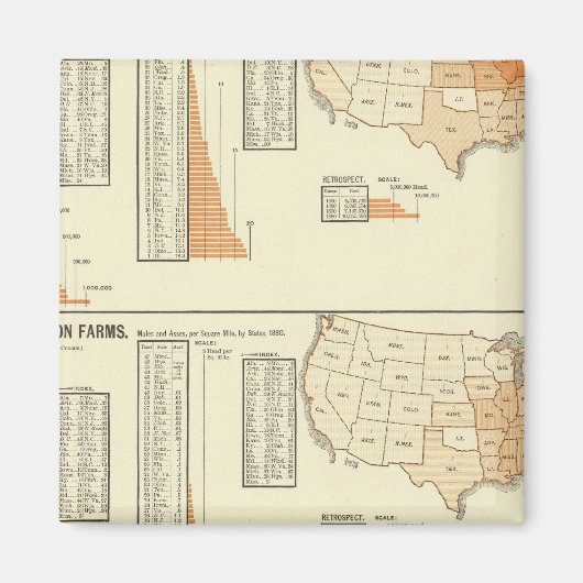 馬、ラバ、ロバ、羊 マグネット (正面)