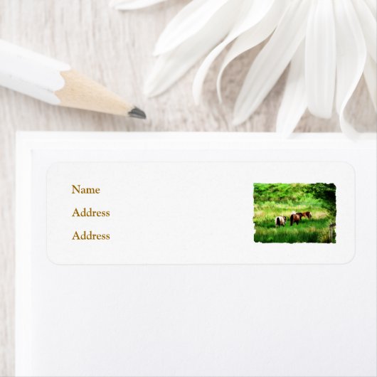 馬 ラベル (インサイチュ)