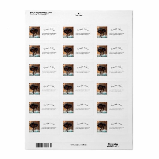 馬 ラベル (フルシート)