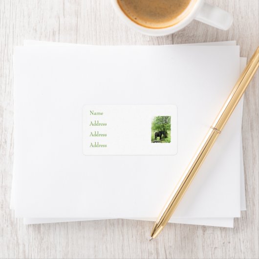 馬 ラベル (インサイチュ)