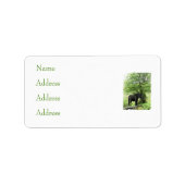 馬 ラベル (正面)