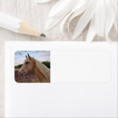 馬 ラベル (インサイチュ)