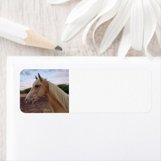 馬 ラベル (インサイチュ)